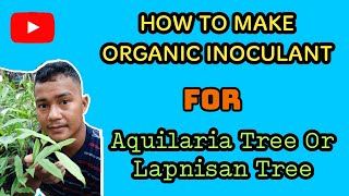 How to Make Organic Inoculant With Ratio Of the Ingredients [upl. by Nahsad380]