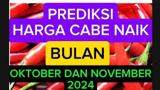 PREDIKSI HARGA CABE UNTUK BULAN OKTOBER NOVEMBER 2024 [upl. by Calmas]