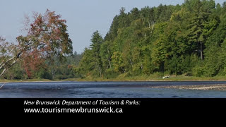 The New Brunswick Adventures Atlantic Salmon fly fishing on the world famous rivers in the province [upl. by Sevik]