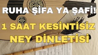 Ney Dinletisi 1 Saat Kesintisiz  Ruha Şifa Ya Şafi Dini Hikayeler [upl. by Genaro58]