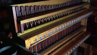 The restored Xylophone on the Worlds largest pipe organ [upl. by Oletta]