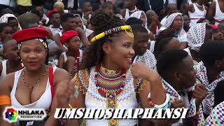 INGOMA KASHAMENIULUNDI  PHUSHAMOYA  FACE 2 FACE  PART 2 [upl. by Elsy732]