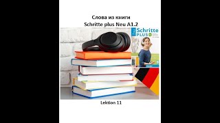 Слова из книги Schritte plus Neu A12 Lektion 11  Wortschatz немецкий язык [upl. by Yaja]