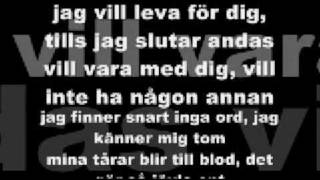 AMC  Jag kan inte ljuga för dig lyrics [upl. by Ecela]