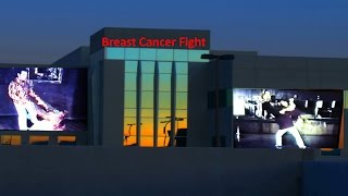 Breast Cancer Fight [upl. by Onaicnop]