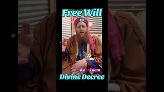 Free will vs Predestination inspirational shorts Theology Islamic islamicvideo [upl. by Nived]