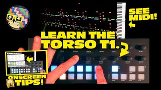 The Strange Torso T1 Sequencer EXPLAINED Step by Step [upl. by Honan]