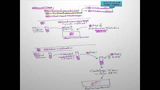 W8 L1BloodBank2024sKhwaiter Coombs Test [upl. by Ameh370]