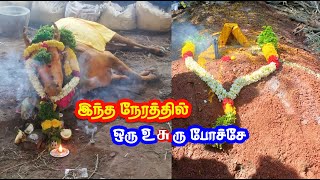 மதுரையில் இந்த நேரத்துல ஒரு உசுரு போச்சு  madurai aandalpuram kaalai [upl. by Relyc148]