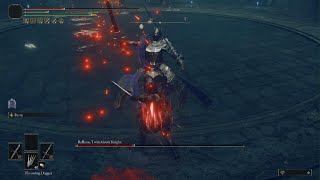 ELDEN RING  Rellana Twin Moon Knight  Parry amp Daggers no summons [upl. by Anson735]