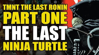 The Last Ninja Turtle TMNT The Last Ronin Part 1  Comic Explained [upl. by Vinnie]