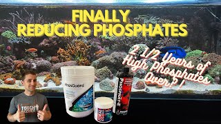 Reducing High Phosphates in My 200 Gallon Reef Tank 2 12 Years of Lessons to Get to This Point [upl. by Sema378]