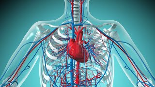 CVS pathology  thrombosis  lec 2 part 1 [upl. by Laved]