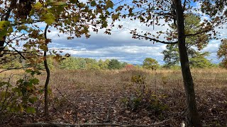 Crampton Gap shelter to Dahlgren Campground [upl. by Esenahs10]