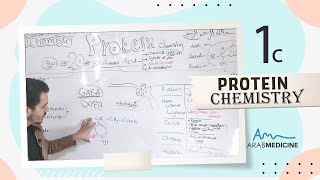 Classification of Amino Acid  Rest   Lecture 1  Part c [upl. by Annua]