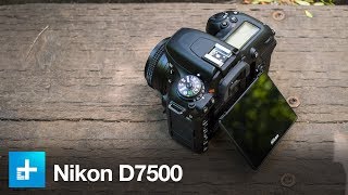 Nikon D7500  Hands On Review [upl. by Nydnarb]