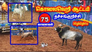 தச்சன்குறிச்சி ஜல்லிக்கட்டில் கலக்கிய காளைகள் Thachchankurichchi Highlights Best Videos Tamizhan [upl. by Brear]