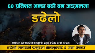 ६० प्रतिशत भन्दा बढी वन जङ्गलमा डढेलो बागलुङबाट डढेलो लगाएको कसूरमा ६ जना पक्राउ [upl. by Ynnad]