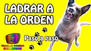 ENSEÑAR el LADRIDO A LA ORDEN  Adiestramiento para perros [upl. by Inafit]