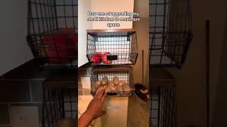 Small Kitchen Space Saving Hack organization kitchengadgets kitchenorganization [upl. by Loresz]