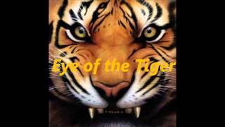 Eye of the Tiger Original HD [upl. by Ailssa]