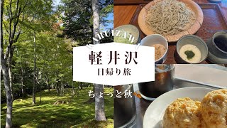 🍁軽井沢🌤️23°→🌛18°｜こころととのう🌿🪵｜ツルヤ購入品｜日帰り夫婦旅｜新しい施設も☕️ [upl. by Ahsotal]