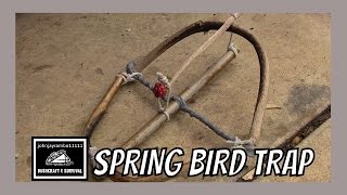 HOW TO MAKE A SPRING BIRD TRAP [upl. by Aznarepse]