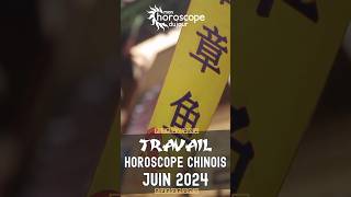 Votre Horoscope Chinois mensuel de Juin 2024 Travail [upl. by Buckels]