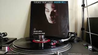 Wishing Well The Cool In The Shade Mix  Terence Trent DArby Vinyl 12quot SingleAudiophile Audio [upl. by Nosnevets492]