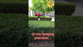 Problem with Batteries hedging gardening daisy timelapse shorts [upl. by Orgell]