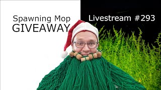 Spawning Mop Beard GIVEAWAY  Ep 293 [upl. by Sehcaep]