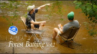 Forest Bathing Vol 2  a green rain ballad  Snow Peak Amenity Dome TC  Noojee Forest Serenity [upl. by Hackathorn337]