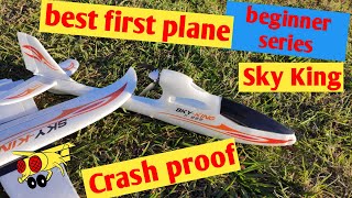 RC plane Crash WLtoys F959s Sky King RTF beginner Glider with 6Axis Gyro [upl. by Nauqed]