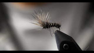 Mayfly Emerger  Fly Tying Tutorial  super easy to tie [upl. by Noral773]