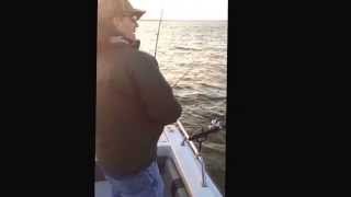 Lake Texoma fishing guide John Blasingame boats a big Texoma Striper [upl. by Ohcamac]