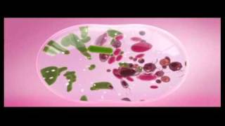 New Lactacyd TVC Commercial 30sec [upl. by Nerra538]