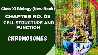 Ch 3 Cell Structure and function  Nucleus Chromosomes  Class 11 biology new book Sindh board [upl. by Ecnesse]