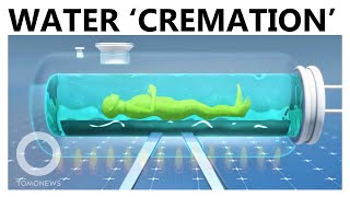 Aquamation Water Cremation The EcoFriendly Burial Chosen by Desmond Tutu [upl. by Ieluuk749]