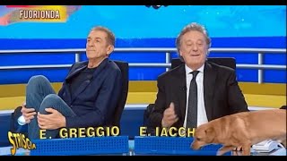 Bufera su Striscia la Notizia il fuori onda inchioda Greggio e Iacchetti [upl. by Eislrahc431]