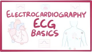 Electrocardiography ECGEKG  basics [upl. by Amada]