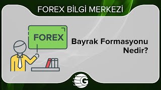 Bayrak Formasyonu Nedir [upl. by Atinel]