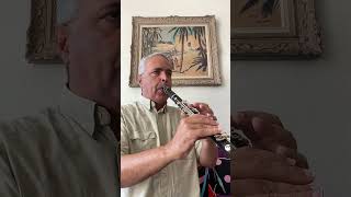 Divertimento Minuetto 1016 Mozart lygeros music clarinet musicalinstrument clarinetist [upl. by Amitarp]