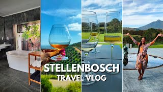 THINGS TO DO IN STELLENBOSCH SOUTH AFRICA  Wine Tasting In Cape Winelands [upl. by Akinaj]