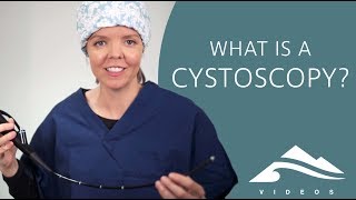 What is a cystoscopy evaluation of your bladder [upl. by Nwavahs]