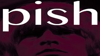 The Brian Jonestown Massacre  Pish Official Video [upl. by Yraccaz]