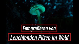 Wie UVLicht Pilze magisch leuchten lässt [upl. by Borras]