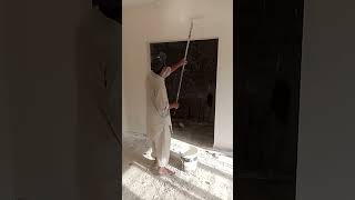 paint working ruler paint shortvideo construction Propaint783 should feed [upl. by Norda]