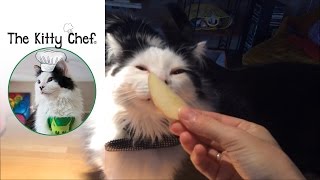 The Kitty Chef The Oreo Cat Slow cooked Maple Ham [upl. by Stephie]