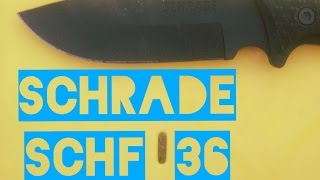 Schrade SCHF36  Best cheap knife Ive ever bought [upl. by Daile971]