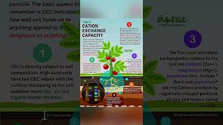 Cation exchange capacity soilscience [upl. by Prince]